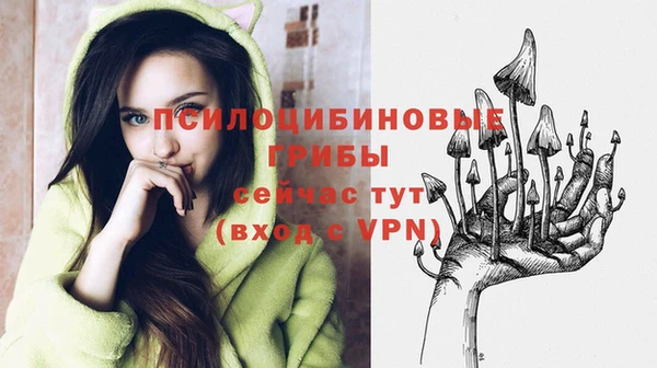 кокс Нефтекумск