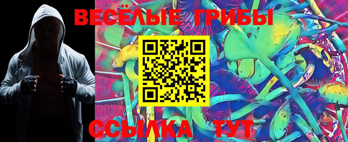 Псилоцибиновые грибы Magic Shrooms  Пермь  Псилоцибиновые грибы Psilocybe 